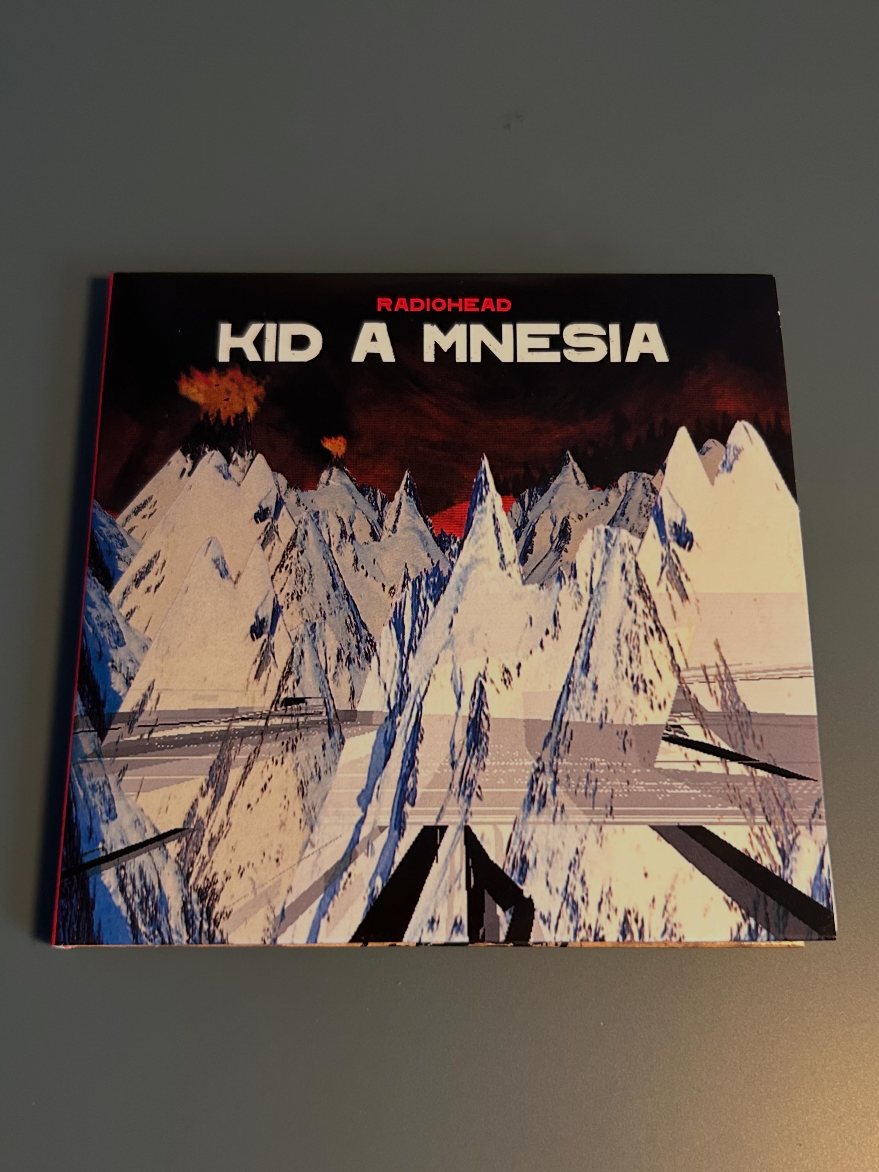 kidamnesia2
